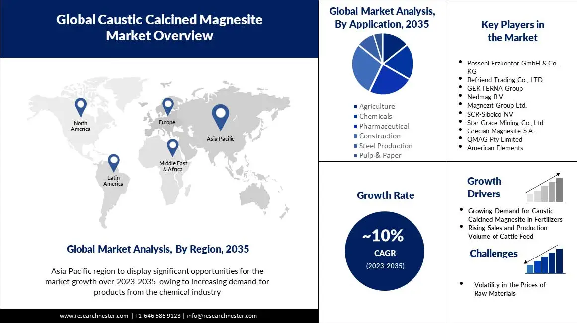 Caustic-Calcined-Magnesite-Market-scope