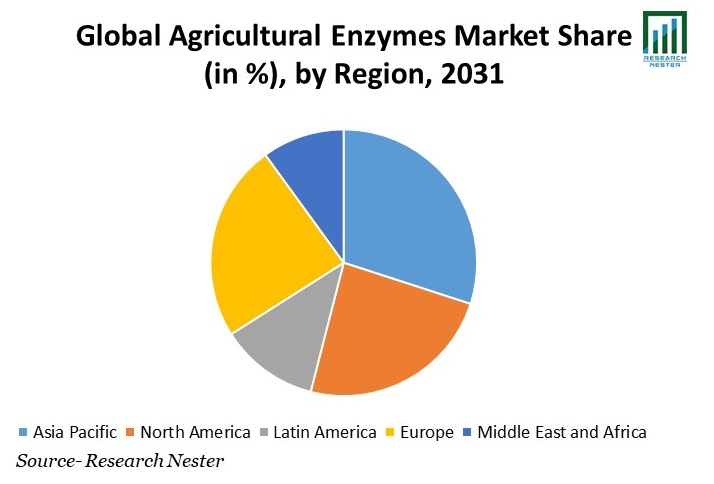 Agricultural Enzymes Market Share
