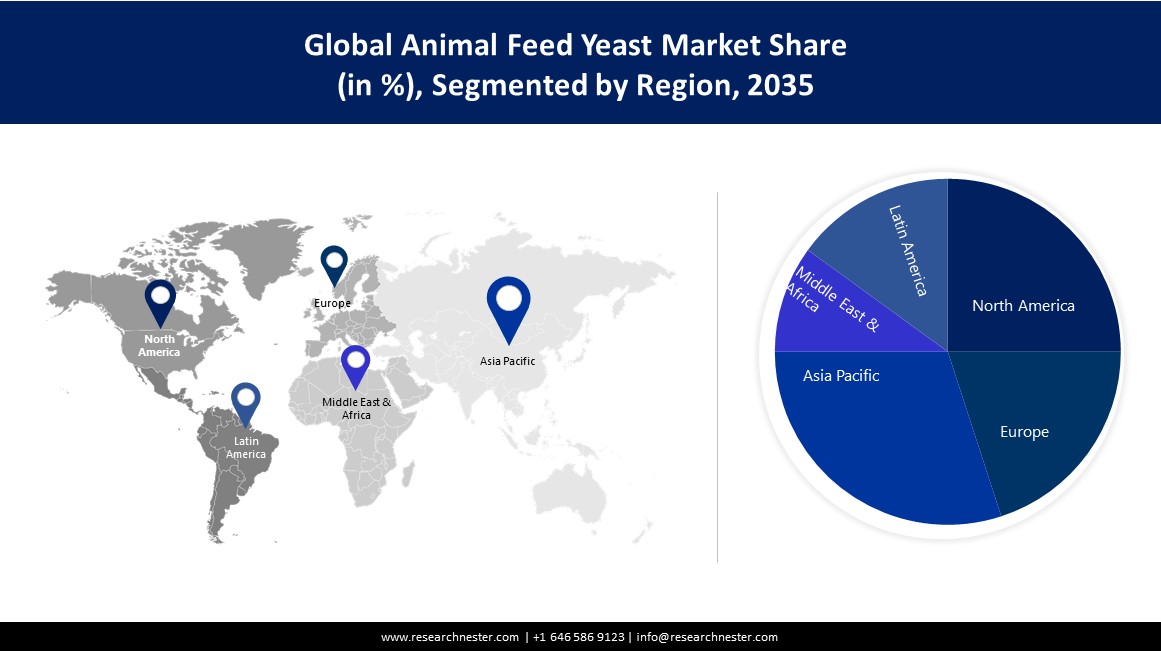 Animal Feed Yeast Market Share Image