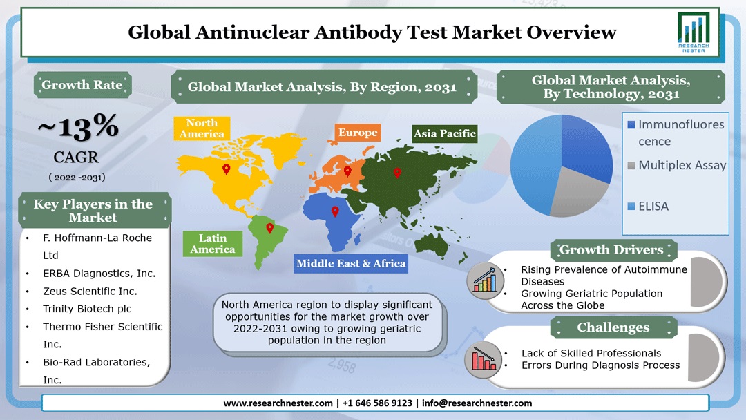 Antinuclear Antibody Test Market