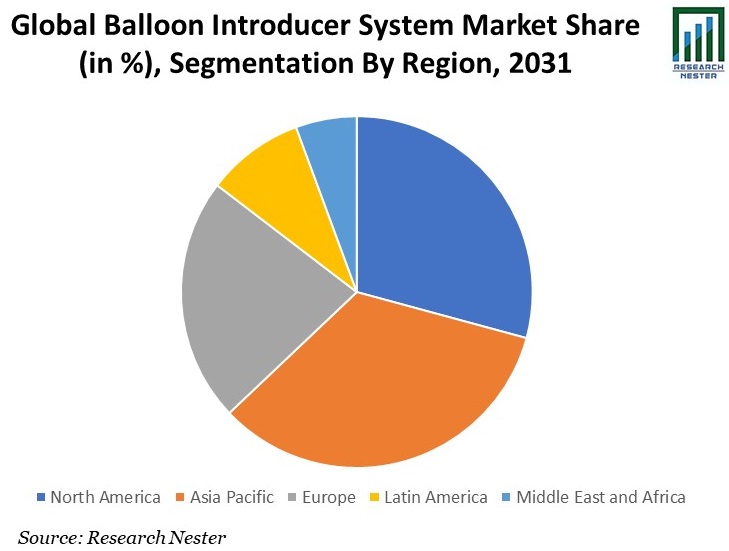Balloon Introducer System Market Share