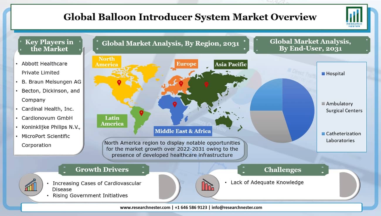 Balloon Introducer System Market