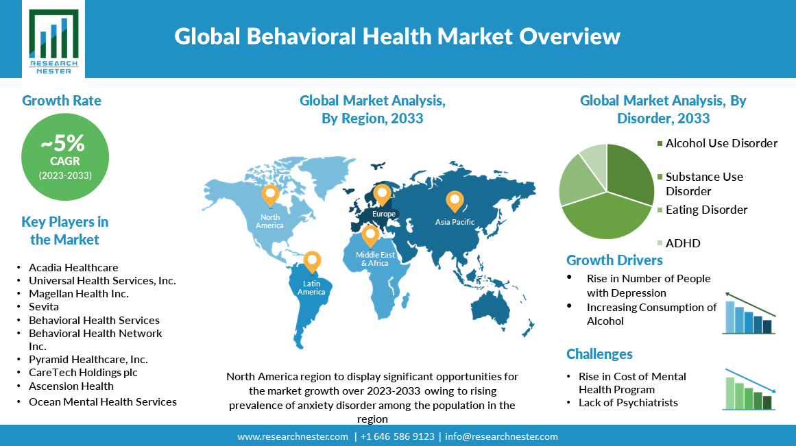 behavioral health market overview
