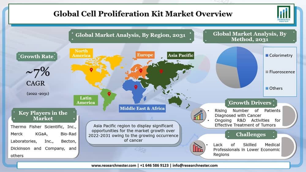 Cell Proliferation Kit Market Graph