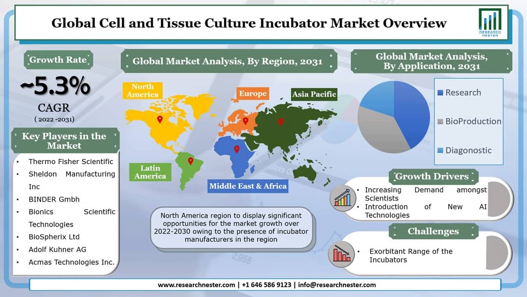 Cell and Tissue Culture Incubators Market Graph