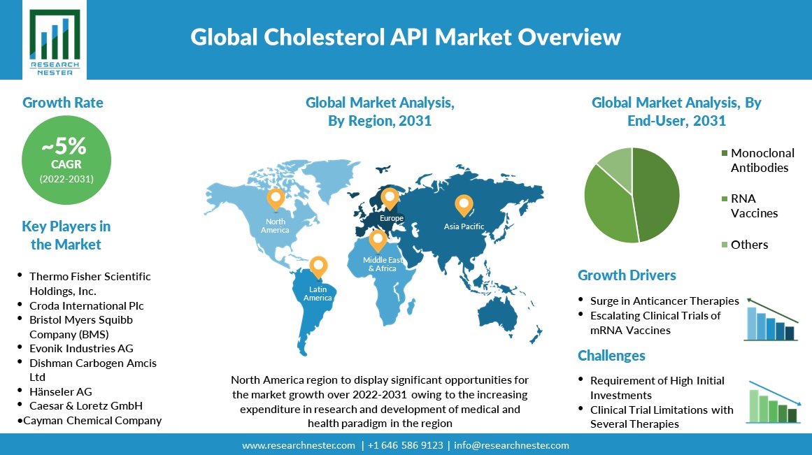 Cholesterol API Market Overview