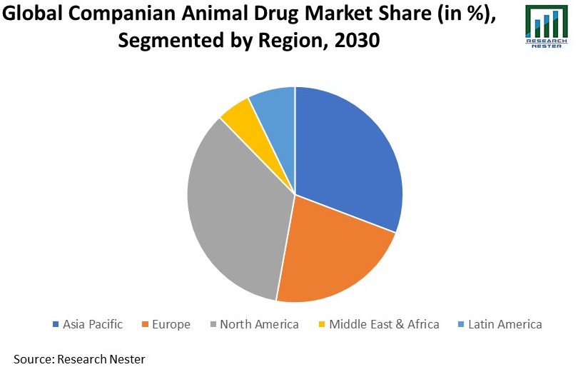 Companion Animal Drug Market