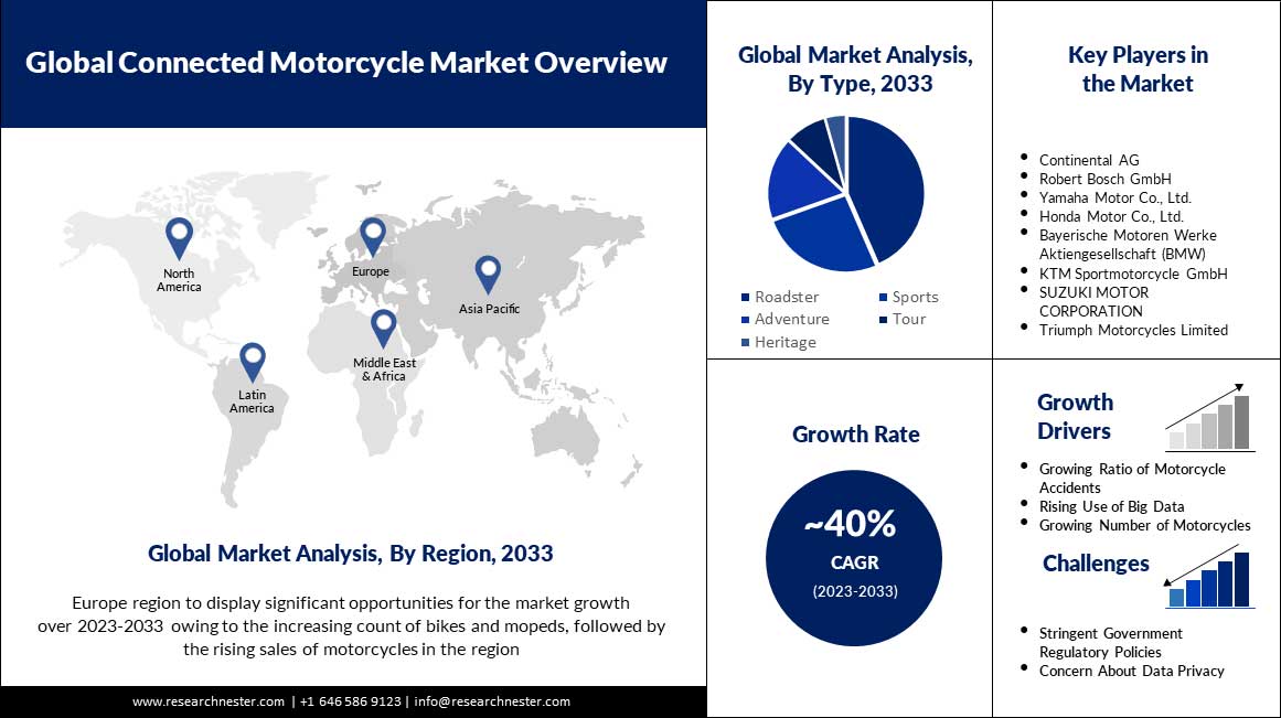 互联摩托车市场概述。