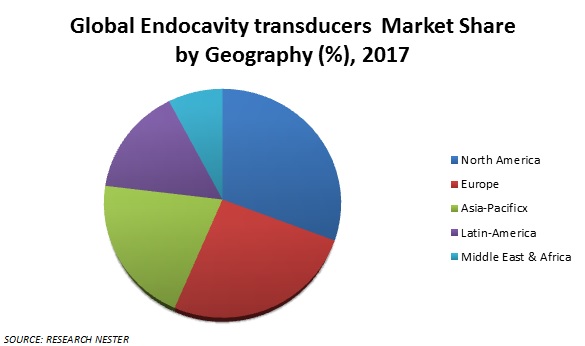 Endocavity Transducer Market share