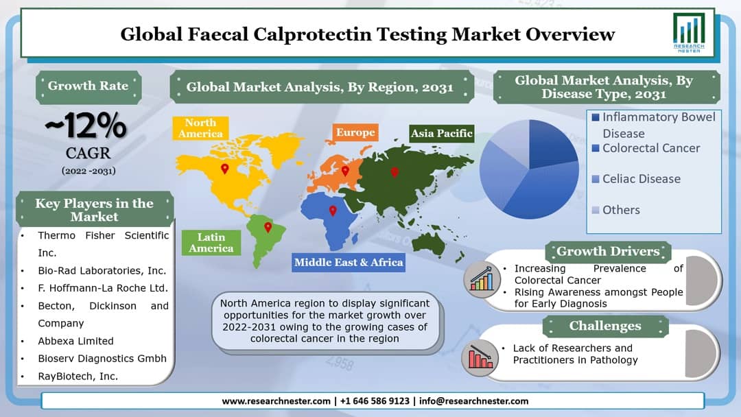 Faecal Calprotectin Testing Market Graph