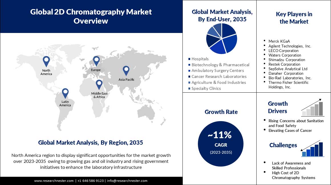 글로벌-2D-크로마토그래피-시장 범위