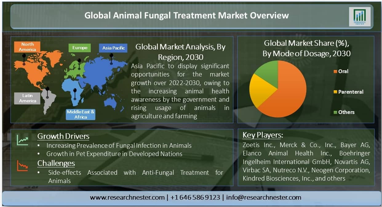 Animal Fungal Treatment Market