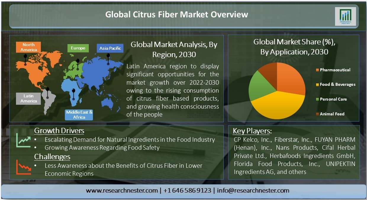 Citrus Fiber Market