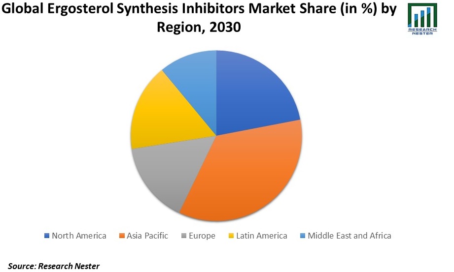 Ergosterol Synthesis Inhibitors Market