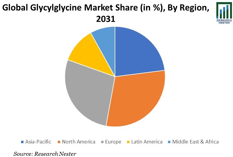 Glycylglycine Market Share Graph