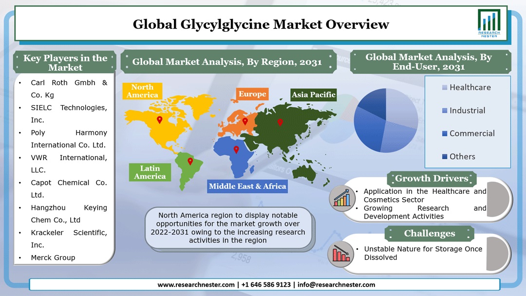 Glycylglycine Market Graph
