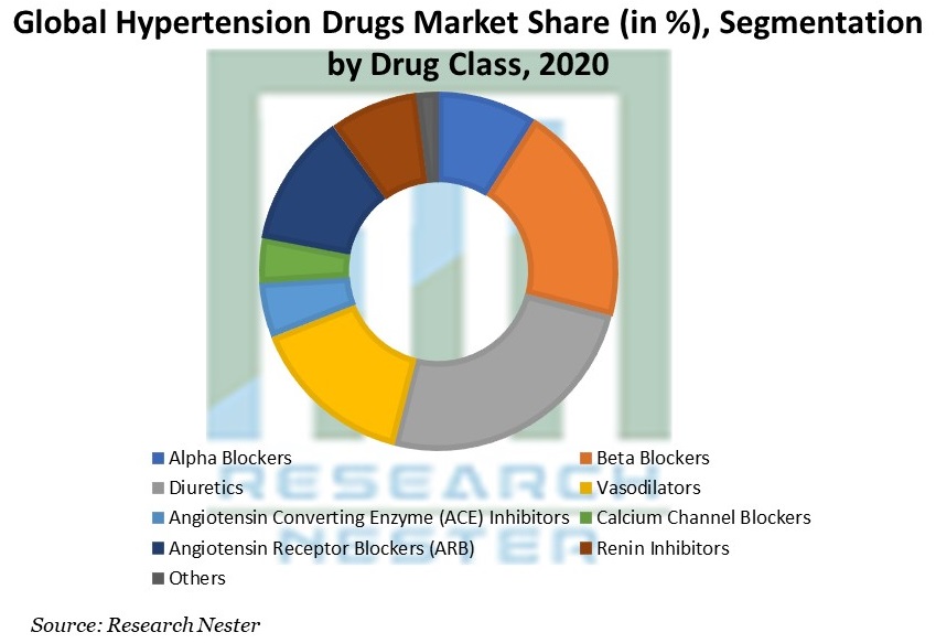 Hypertension Drugs Market Share Segmentation by Drug 
