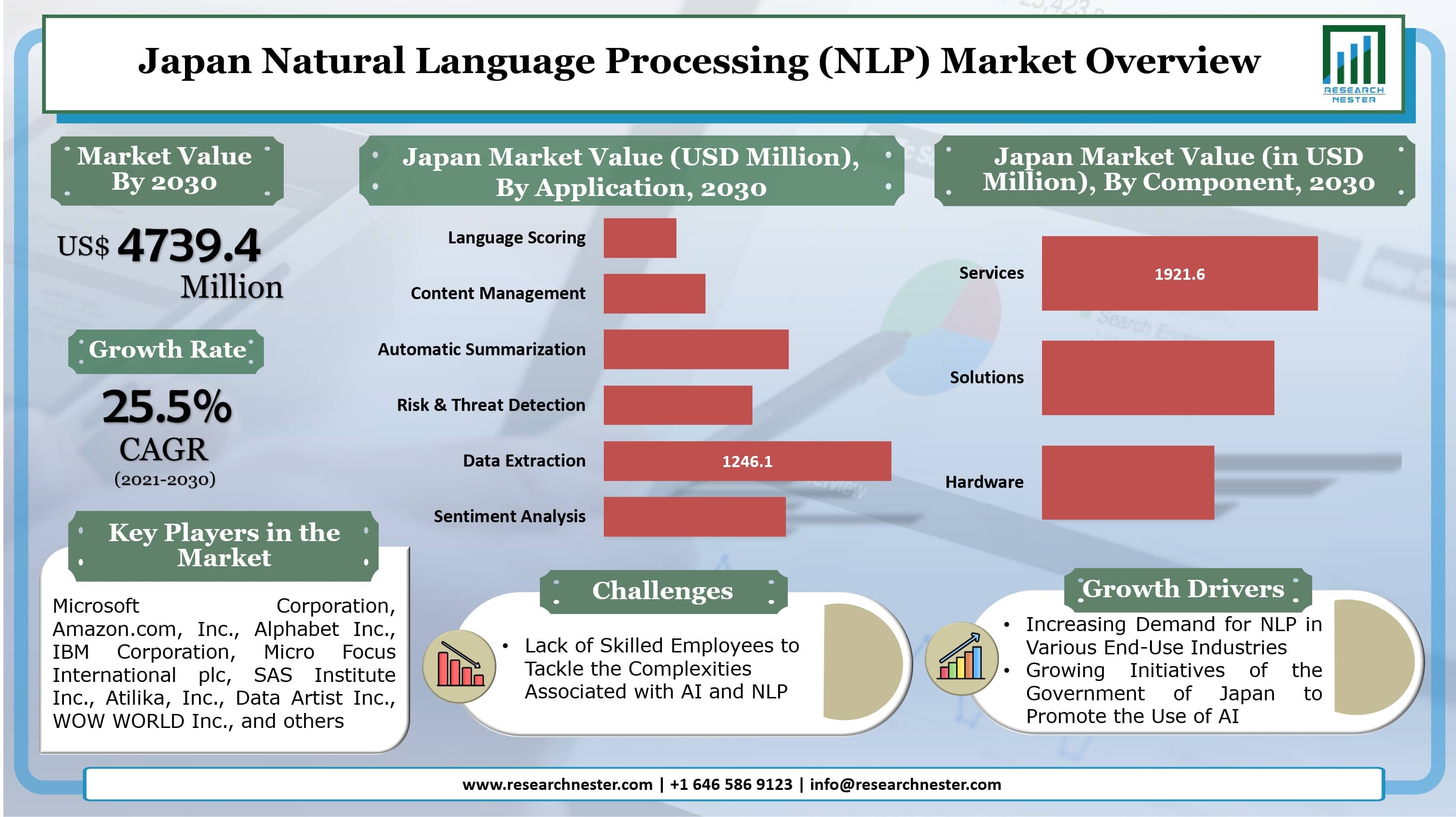 Japan Natural Language Processing (NLP) Market Graph