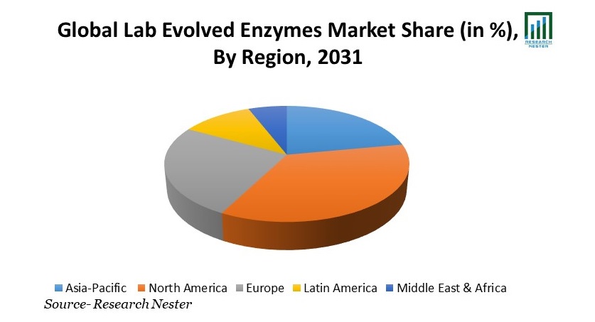 Lab Evolved Enzymes Market Share 