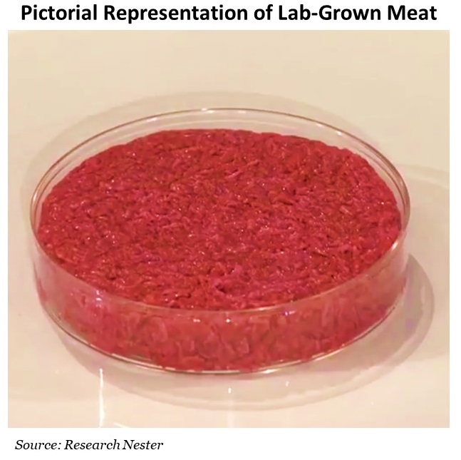 Pictorial Representation of Lab-Grown Meat