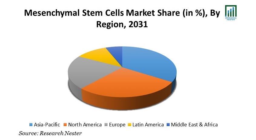 Mesenchymal Stem Cells Market Share
