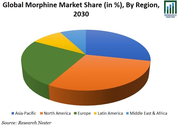 Morphine Market Share Graph