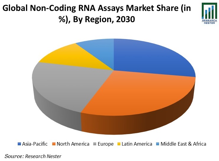 Global Non-Coding RNA Assays Market