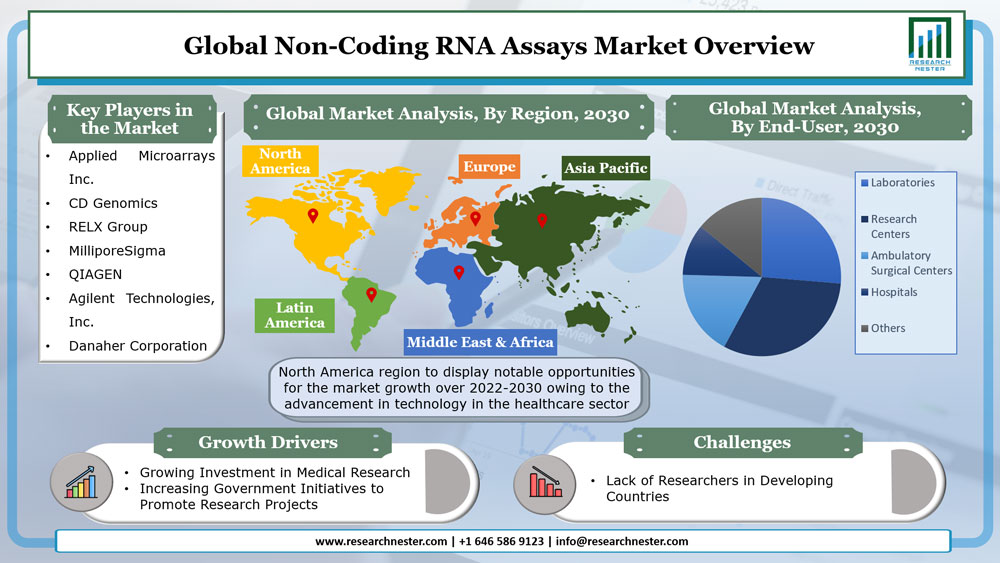 Non-Coding RNA Assays Market