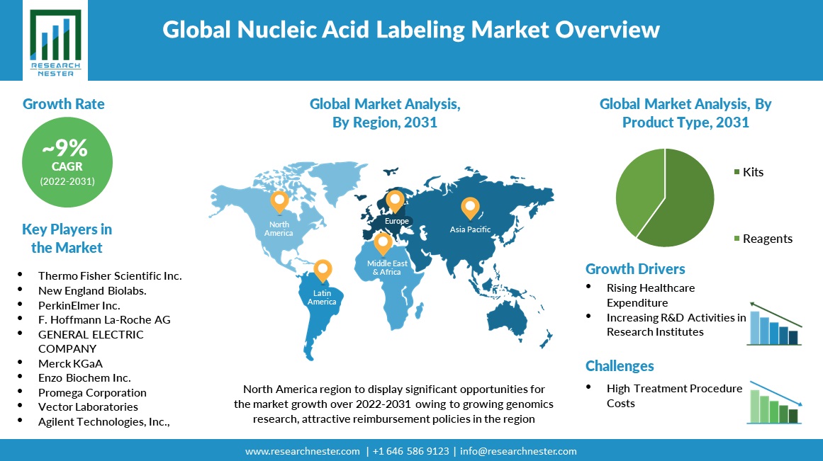 Nucleic Acid Labeling Market Region