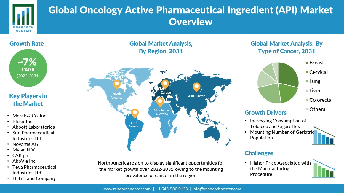 Oncology Active Pharmaceutical Ingredient (API) Market Size Overview Chart 