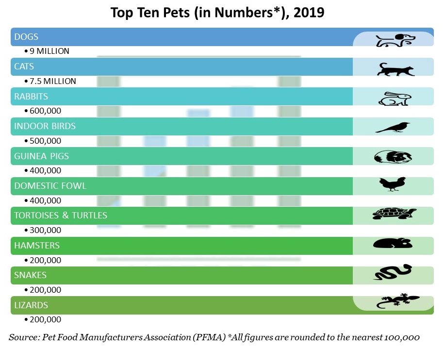 Top Ten Pets (in Numbers*), 2019