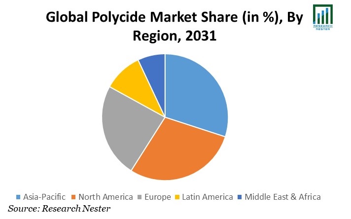 Polycide Market Share