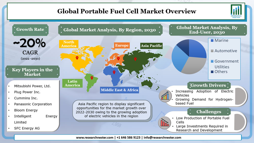 Global Portable Fuel Cell Market