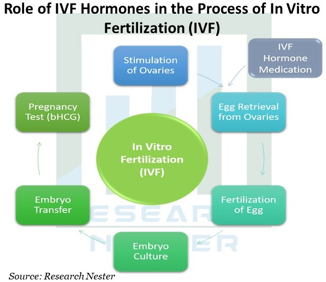 Role-of-IVF-Hormones-in-the-Process