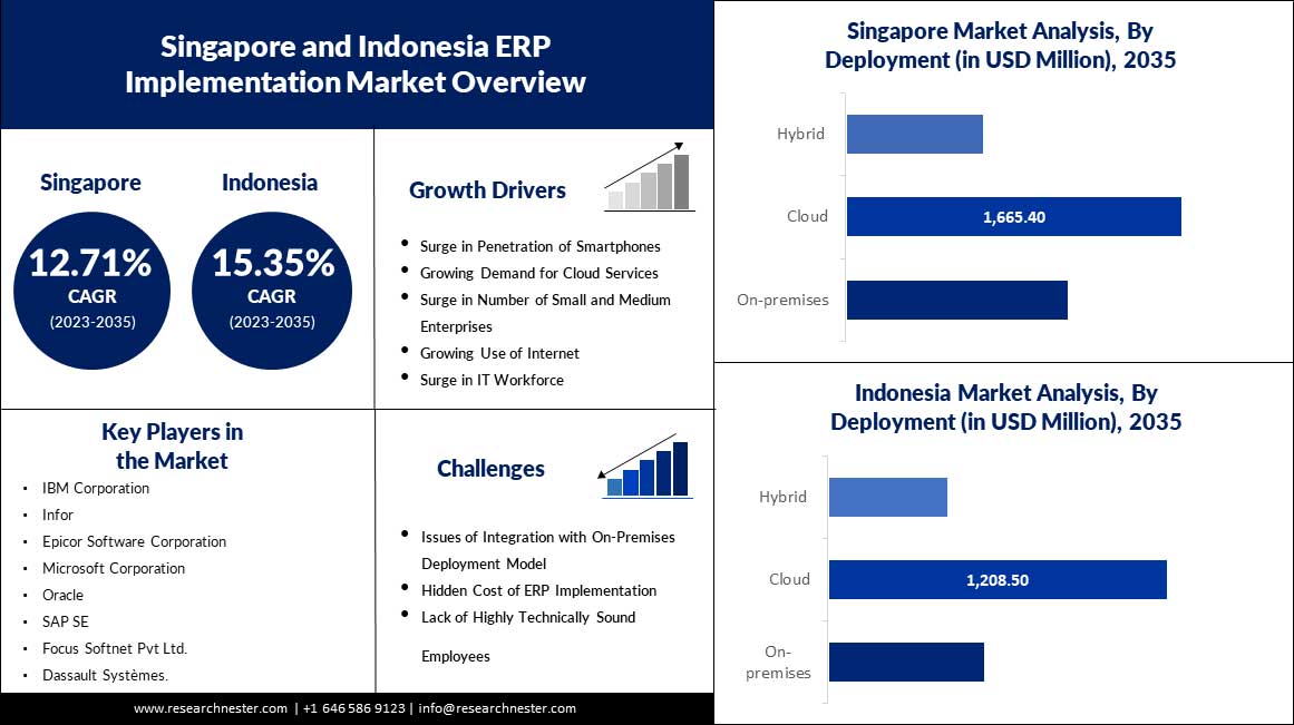 싱가포르 및 인도네시아 ERP 구현 시장 범위.jpg 