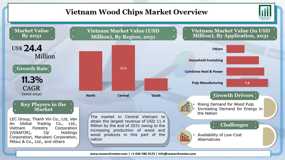 Vietnam Wood Chips Market Graph