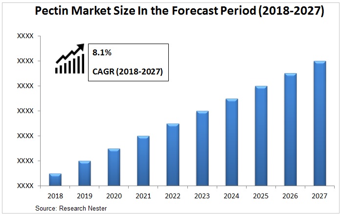pectin market size Graph