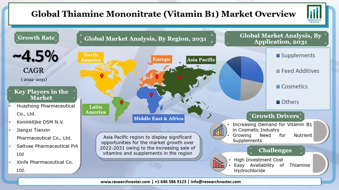 Thiamine Mononitrate (Vitamin B1) Market