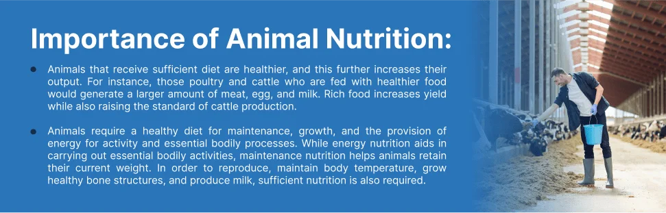 animal-nutrition